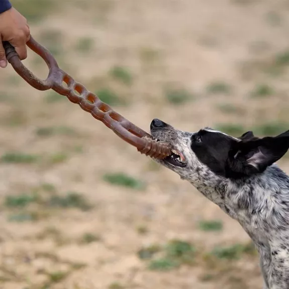 Jouet Tir à la corde en résine naturelle - Retorn 