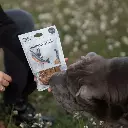 Sticks de saumon - Friandises naturelles pour chiens 