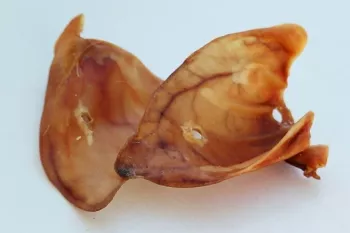 Sachet d'Oreilles de porc séché - Friandises naturelles